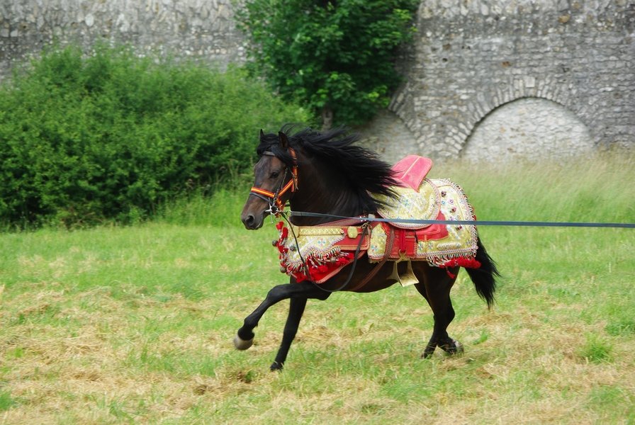 Le Moussem des Cultures 2008 071.jpg